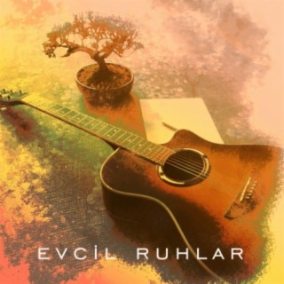 Evcil Ruhlar