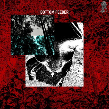BOTTOM FEEDER | Boomplay Music