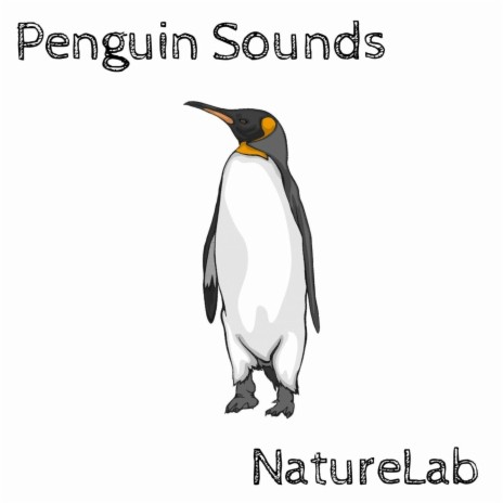 Penguin Sounds | Boomplay Music