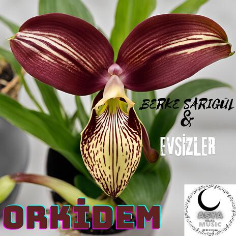 Orkidem ft. Evsizler | Boomplay Music