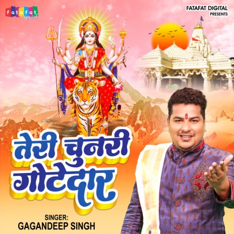 Teri Chunari Gotedar | Boomplay Music