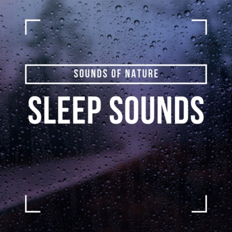 Sleepy Rainfall (Original Mix)