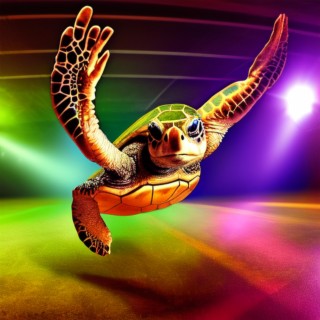 Turtle Dancer