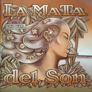 La Mata del Son, Vol. 1