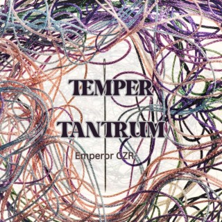 Temper Tantrum lyrics | Boomplay Music