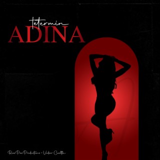 Adina lyrics | Boomplay Music