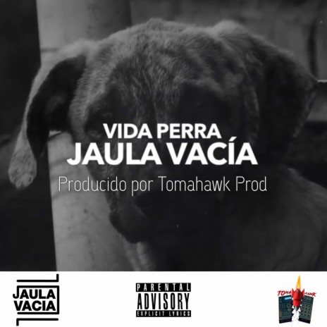 Vida Perra ft. Tomahawk Prod | Boomplay Music