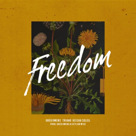 Freedom ft. TrigNO & Keisha Soleil | Boomplay Music