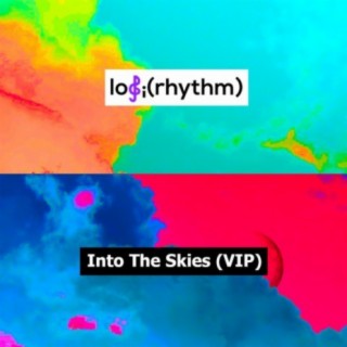 Into The Skies (VIP)