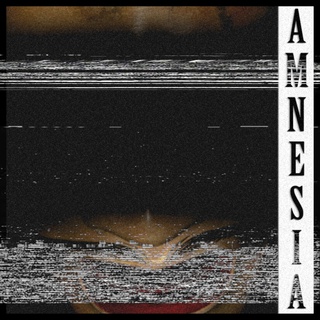 Amnesia