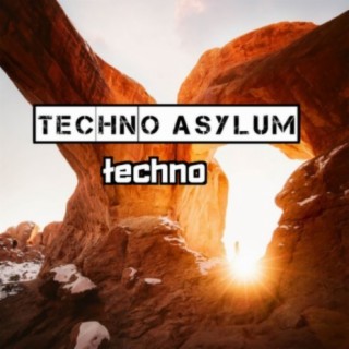 Techno Asylum