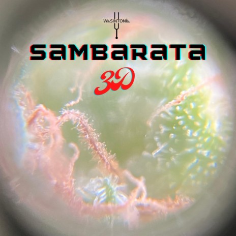 Sambarata ft. 3D | Boomplay Music