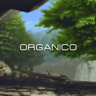 Orgánico