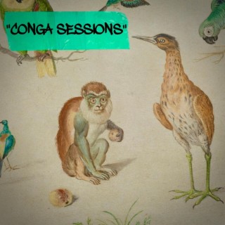 Conga Sessions (Extended Mix)