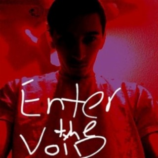 Enter The Void