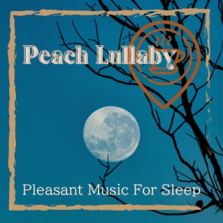 Pleasant Music For Sleep