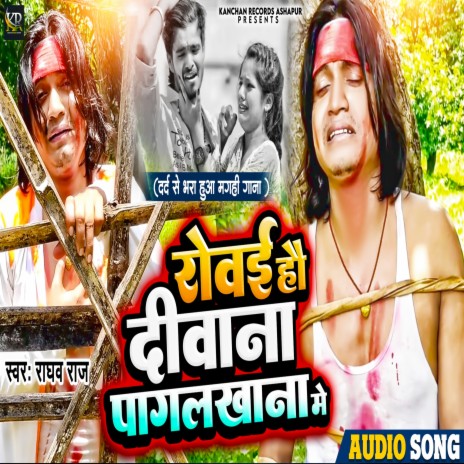 Rowai Hau Deewana Pagalkhana Me | Boomplay Music