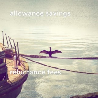 allowance savings