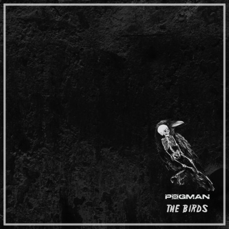 The Birds | Boomplay Music