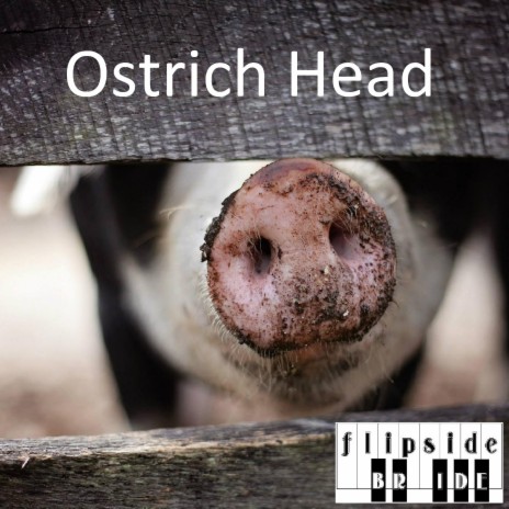 Ostrich Head (Radio Edit)