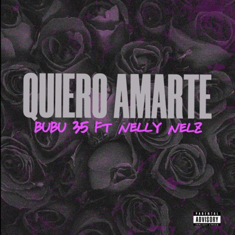 Quiero Amarte ft. Nelly Nelz | Boomplay Music