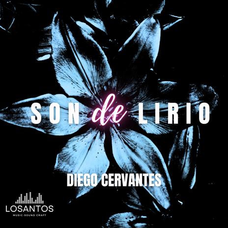 Son de lirio | Boomplay Music