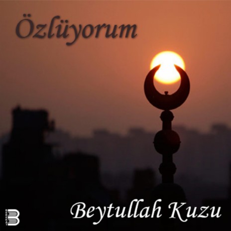 Özlüyorum | Boomplay Music