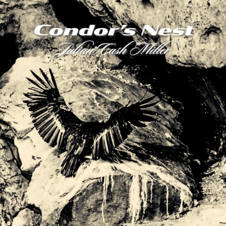Condor's Nest | Boomplay Music