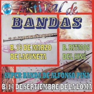 Festival de Bandas