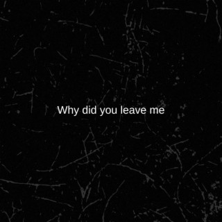 Why Did You Leave Me?