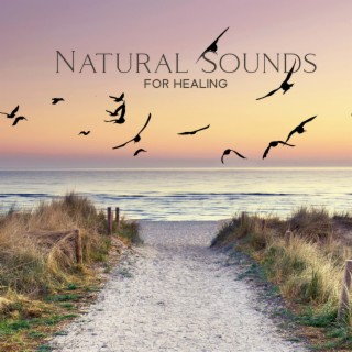 Natural Sounds For Healing: Relaxing Music With Sounds Of Nature For Studying, Meditation, Yoga, Reiki, Peaceful Sleep