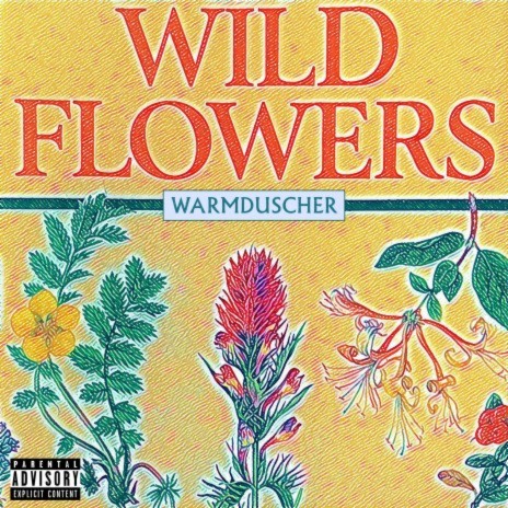 Wild Flowers | Boomplay Music