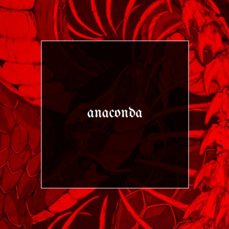 Anaconda | Boomplay Music