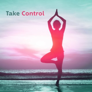 Take Control: Attract Wealth to Your Life, Start Thinking Positively, Chase Your Dreams