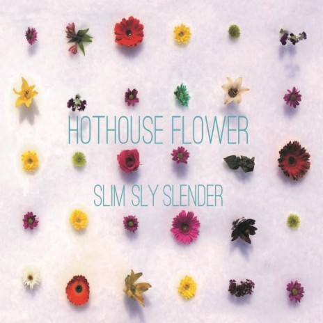 Hothouse Flower | Boomplay Music