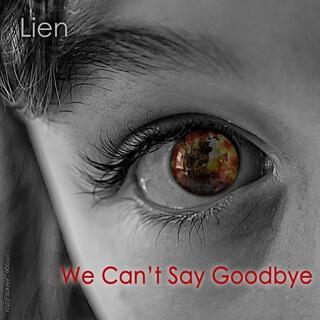 We Can't Say Goodbye lyrics | Boomplay Music