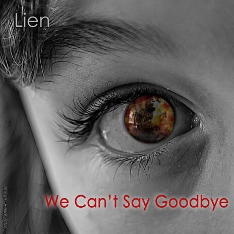 We Can't Say Goodbye | Boomplay Music