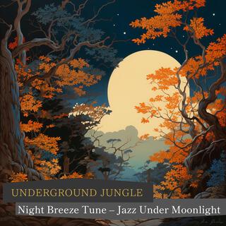 Night Breeze Tune – Jazz Under Moonlight