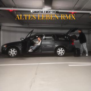 Altes Leben (Remix)