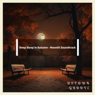Deep Sleep in Autumn - Moonlit Soundtrack