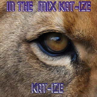 In The Mix KAT-IZE