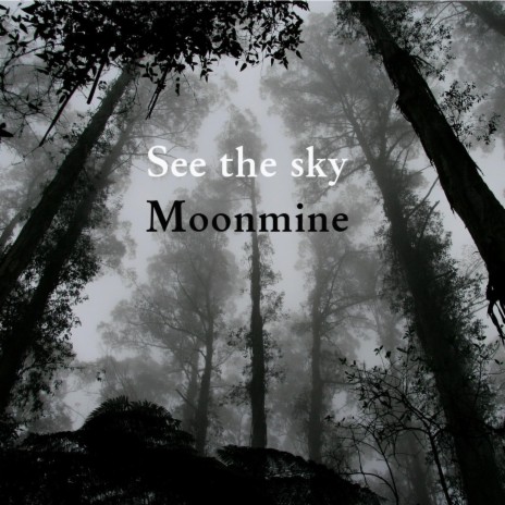 See The Sky | Boomplay Music