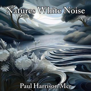 Natures White Noise