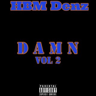 DamnDidDenzDoDat, Vol. 2