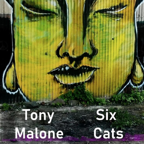 Six Cats | Boomplay Music