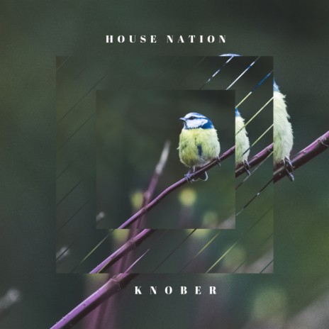 House Nation | Boomplay Music