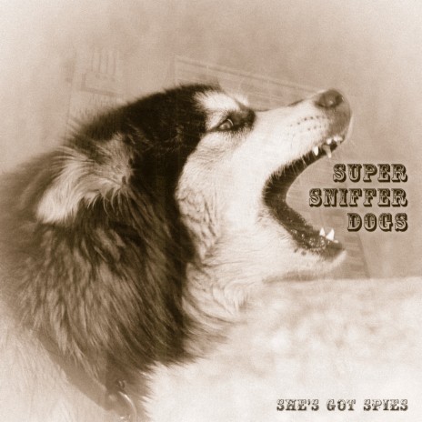 Super Sniffer Dogs