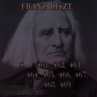 Franz Liszt - S. 461, 462, 463, 464, 465, 466, 467, 468, 469