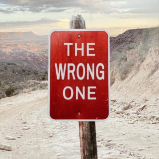 The Wrong One ft. Eliza Harrison Smith lyrics | Boomplay Music