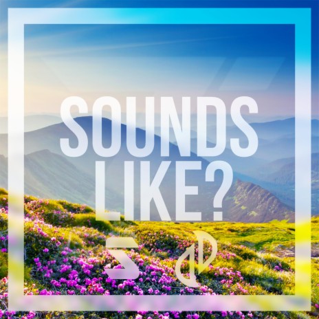 Sounds Like ft. Seidko | Boomplay Music